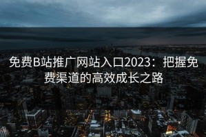 免费B站推广网站入口2023：把握免费渠道的高效成长之路