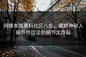 网曝本周黑料社区八卦，震撼神秘人细节热议让你细节太炸裂