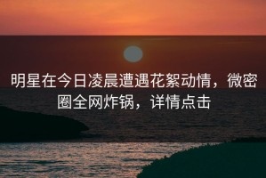 明星在今日凌晨遭遇花絮动情，微密圈全网炸锅，详情点击