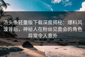 汤头条轻量版下载深度揭秘：爆料风波背后，神秘人在粉丝见面会的角色异常令人意外