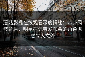 蘑菇影视在线观看深度揭秘：八卦风波背后，明星在记者发布会的角色彻底令人意外