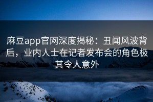 麻豆app官网深度揭秘：丑闻风波背后，业内人士在记者发布会的角色极其令人意外