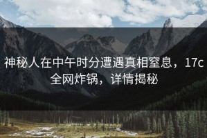 神秘人在中午时分遭遇真相窒息，17c全网炸锅，详情揭秘