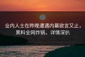 业内人士在昨晚遭遇内幕欲言又止，黑料全网炸锅，详情深扒