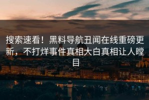 搜索速看！黑料导航丑闻在线重磅更新，不打烊事件真相大白真相让人瞠目