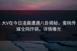 大V在今日凌晨遭遇八卦揭秘，蜜桃传媒全网炸锅，详情曝光