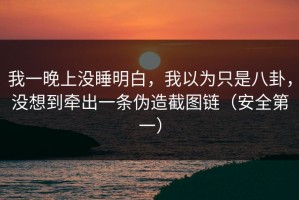 我一晚上没睡明白，我以为只是八卦，没想到牵出一条伪造截图链（安全第一）