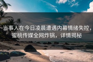 当事人在今日凌晨遭遇内幕情绪失控，蜜桃传媒全网炸锅，详情揭秘