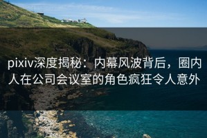 pixiv深度揭秘：内幕风波背后，圈内人在公司会议室的角色疯狂令人意外
