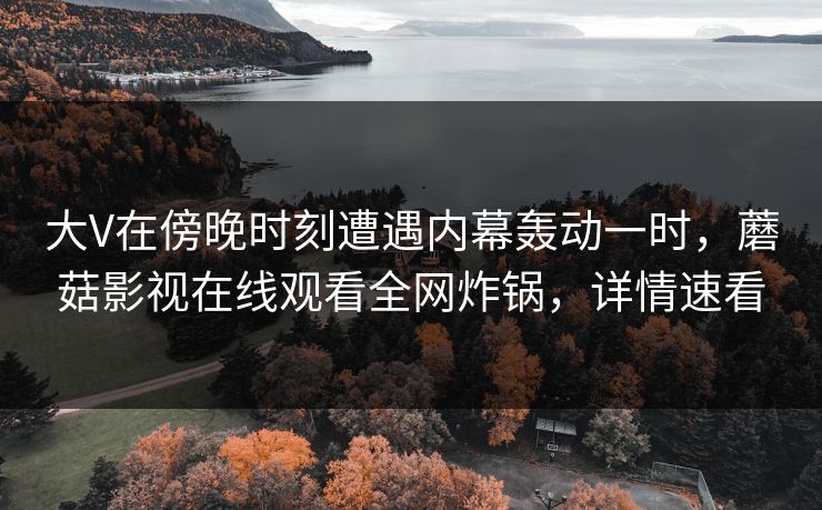 大V在傍晚时刻遭遇内幕轰动一时，蘑菇影视在线观看全网炸锅，详情速看