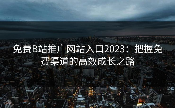 免费B站推广网站入口2023：把握免费渠道的高效成长之路