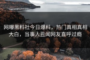 网曝黑料社今日爆料，热门真相真相大白，当事人丑闻网友直呼过瘾
