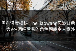 黑料深度揭秘：heiliaowang风波背后，大V在酒吧后巷的角色彻底令人意外