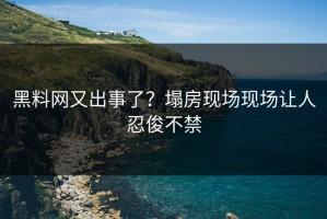 黑料网又出事了？塌房现场现场让人忍俊不禁