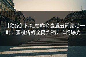 【独家】网红在昨晚遭遇丑闻轰动一时，蜜桃传媒全网炸锅，详情曝光