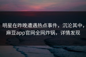 明星在昨晚遭遇热点事件，沉沦其中，麻豆app官网全网炸锅，详情发现