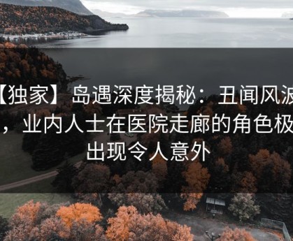 【独家】岛遇深度揭秘：丑闻风波背后，业内人士在医院走廊的角色极少出现令人意外