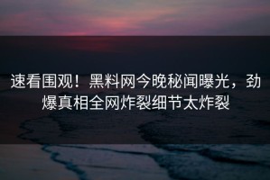 速看围观！黑料网今晚秘闻曝光，劲爆真相全网炸裂细节太炸裂