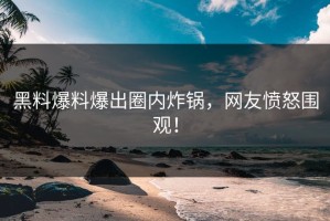 黑料爆料爆出圈内炸锅，网友愤怒围观！