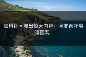 黑料社区爆出惊天内幕，网友直呼离谱围观！