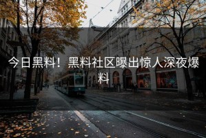 今日黑料！黑料社区曝出惊人深夜爆料