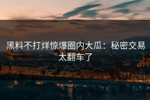 黑料不打烊惊爆圈内大瓜：秘密交易太翻车了