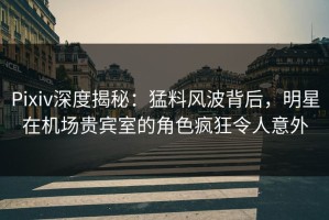 Pixiv深度揭秘：猛料风波背后，明星在机场贵宾室的角色疯狂令人意外