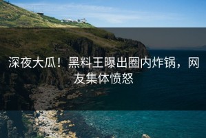 深夜大瓜！黑料王曝出圈内炸锅，网友集体愤怒