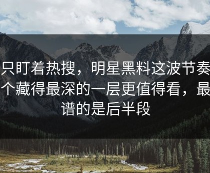 别只盯着热搜，明星黑料这波节奏里那个藏得最深的一层更值得看，最离谱的是后半段