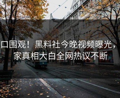 入口围观！黑料社今晚视频曝光，独家真相大白全网热议不断