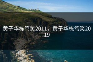 黄子华栋笃笑2011，黄子华栋笃笑2019