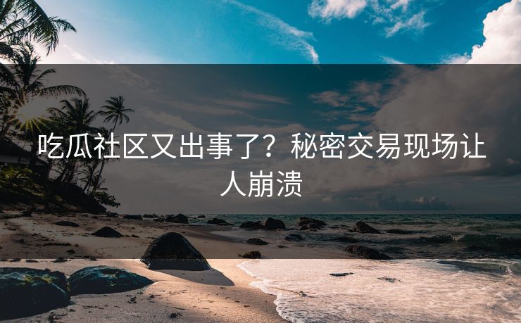 吃瓜社区又出事了？秘密交易现场让人崩溃