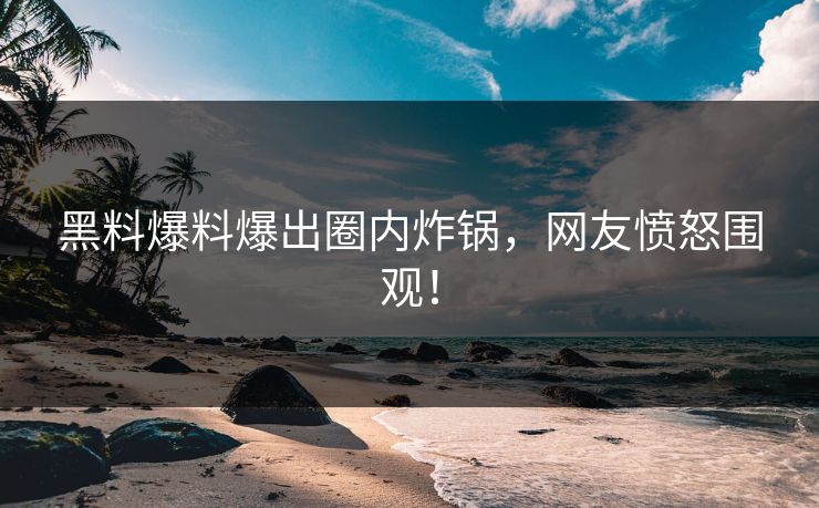黑料爆料爆出圈内炸锅，网友愤怒围观！