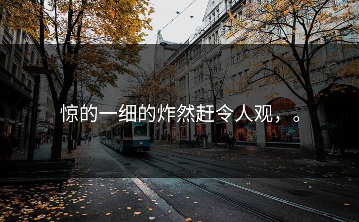 惊的一细的炸然赶令人观，。