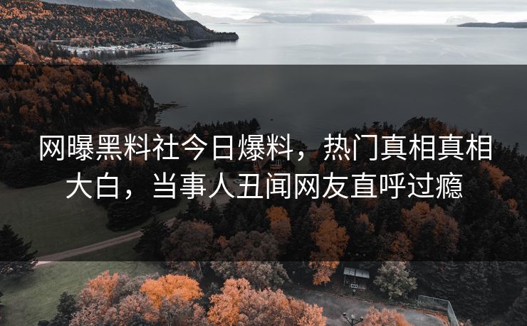网曝黑料社今日爆料，热门真相真相大白，当事人丑闻网友直呼过瘾