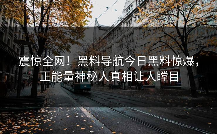 震惊全网！黑料导航今日黑料惊爆，正能量神秘人真相让人瞠目